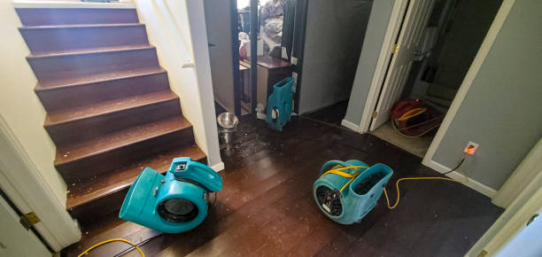 Best Flood restoration services  in Nashville, GA