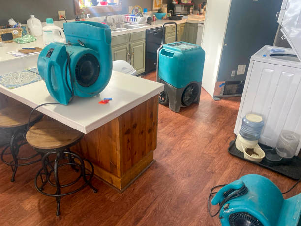 Best Carpet water damage restoration  in Nashville, GA