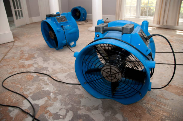 Best Water damage restoration near me  in Nashville, GA