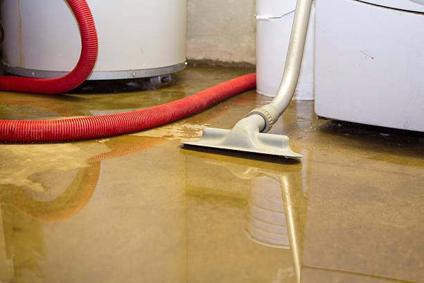 Best Water damage cleanup near me  in Nashville, GA