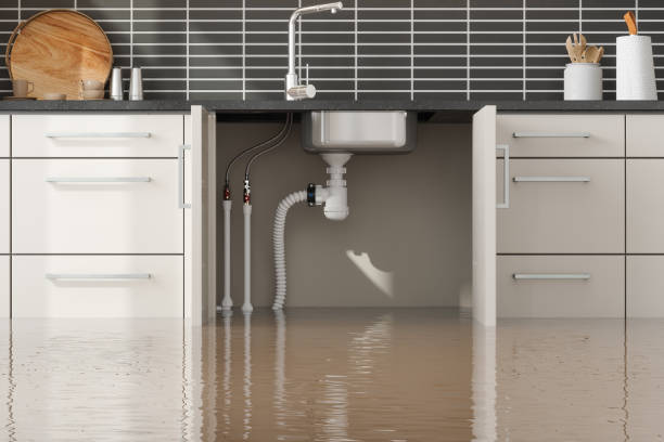 Best Commercial water damage restoration  in Nashville, GA