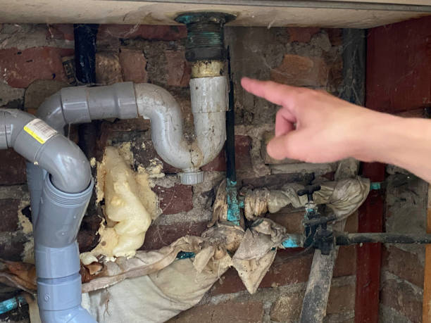 Best Water damage restoration process  in Nashville, GA